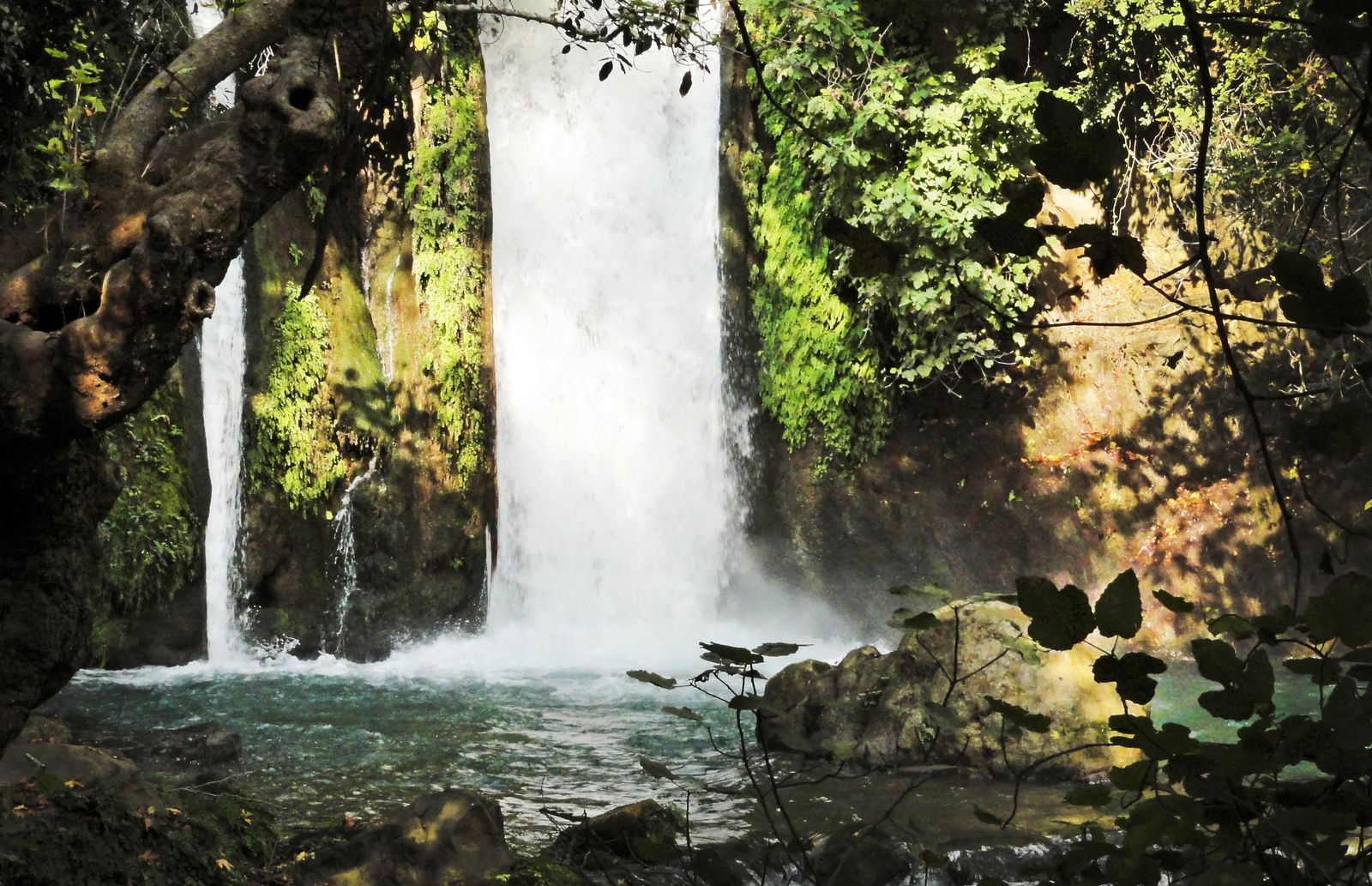 Hermon Stream (Banias) Nature Reserve