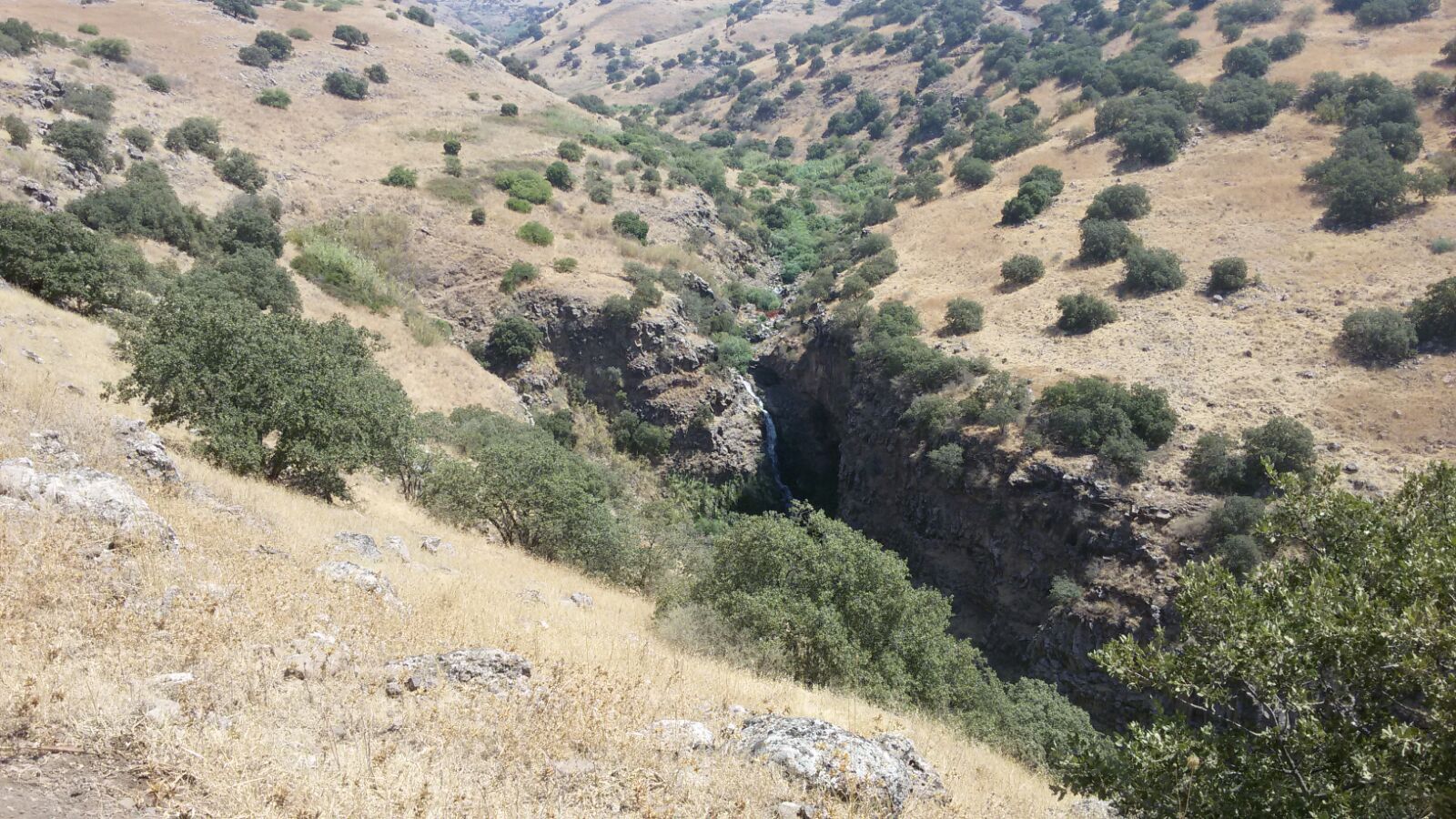 Yehudiya Forest Nature Reserve